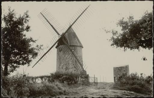 Les moulins du Terrier-Marteau (vues 1-2) et du Puy-Crapaud (vues 3-5, vue aérienne du moulin et des dépendances, vue 5).